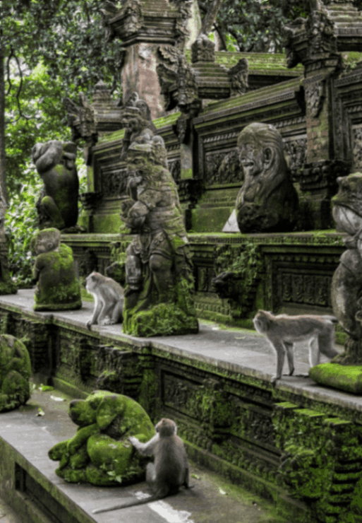 Ubud Monkey Forest 